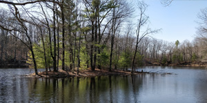 An island in a kettle lake